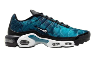 Chaussures Air Max TN Bleu et Noir